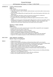 Nurse Auditor Resume Samples Velvet Jobs