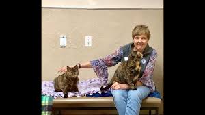 Please select an option below for more information about our. Events And Service Projects Connecticut Humane Society