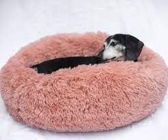 the original donut pet bed dog mattresses pet bed pets