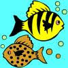 Lees hier meer informatie hierover. Kleurplaat Vis Spel