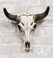 Bones, replicas, teeth, claws, fossils, dinosaurs and even human or primate skull replicas and skeletons for sale online that are of museum quality replicas that are perfect for educators, veterinarians. Ebros 10 25 Wide Western Aged White Taxidermy Steer Bison Buffalo Bull Cow Skull Head With Horns Wall Mount Decor Artistic Replica Native Animal Totem Bust Skulls Hanging Mounted Plaque Sculpture Buy Online