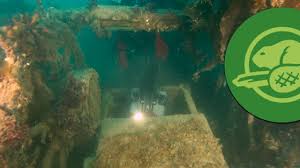 I want to be an underwater welder. Underwater Skills Seneca Toronto Canada