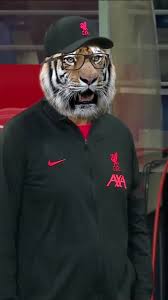 Jurgen Klopp Tiger Meme - Funny Klopp Player Skills Compilation