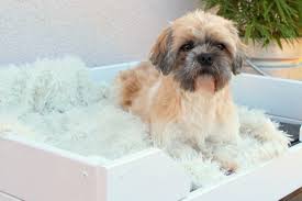 Kunstleder hundebett test empfehlungen 05 20. Diy Outdoor Hundebett Aus Holz Einfach Und Schnell Selber Machen