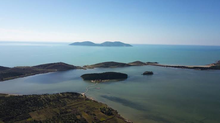 Save Vjosa–Narta: Stop the destruction of a unique wetland! - Καλλιστώ