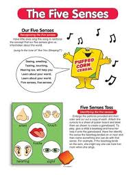 Pin On Five Senses