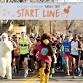 Mile High United Way Turkey Trot event image