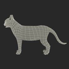 Cat 3 Fur Cats Cat Model 3d Characters