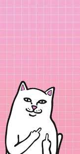 Imagen De Wallpaper Cat And Pink Ripndip Wallpaper Iphone 7 Plus Wallpaper Iphone Wallpaper