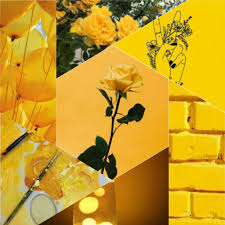 Find over 100+ of the best free yellow aesthetic images. Yellow Aesthetic Yellow Aesthetic Aesthetics Amino
