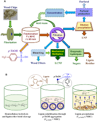 Place the fencing aside for later disposal. Rapid And Near Complete Dissolution Of Wood Lignin At 80 C By A Recyclable Acid Hydrotrope Science Advances