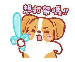 corgi kaka lovely daily pusheen cute dog animation corgi