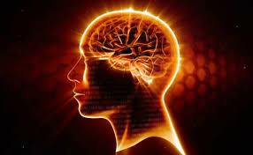 But it turns out that the hunger signals produced by your stomach are far more. What We Could Achieve If We Used 100 Of Our Brains Capacity Conscious Reminder