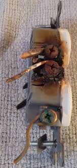 Maybe you would like to learn more about one of these? Melted White Wire Terminals Home Improvement Stack Exchange