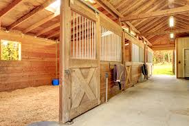 The horse (equus ferus caballus) is one of two extant subspecies of equus ferus. Horse Barn Features That Make Life Easier Saratoga Stalls European Horse Stalls Custom Horse Stalls