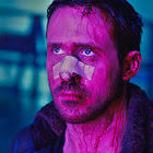 primpce's collection