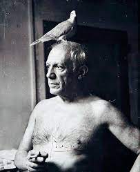 Although he is best known for his association with the cubist movement, which he founded with georges braque, picasso's influence extends to surrealism, neoclassicism and expressionism. Picasso Und Die Friedenstaube 7 Rumgekritzelt