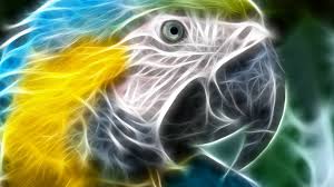 Wildlife photography is much more demanding than you would ever think. 48 Cool Animals Wallpapers On Wallpapersafari