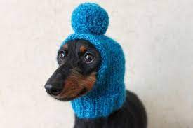 This Listing Is For A Downloadable Knitting Pattern The Pattern Is A Pdf That Is Made Available Immediately Upon Purchase Pom Dog Dog Hat Dachshund Hat