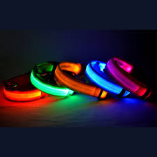 Amazon Led Dog Collar Multicolor Rainbow Supreme Light Up Dog Collar Buy Led Dog Collar Dog Collar Supreme Dog Collar Product On Alibaba Com