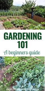 Organic Gardening In Containers Organic Gardening Videos Vegetables Yards Orga In 2020 Vegetable Garden For Beginners Home Vegetable Garden Organic Gardening Tips