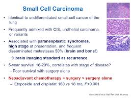 It may also be referred to as oat cell carcinoma and, in some cases, is a mixed cell carcinoma. Educational Centre Current Clinical Problems In Bladder Cancer
