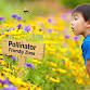 Bumblebee Watch: Citizen Science Opportunity