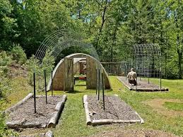 Squash plants are notorious for conquering the rest of your garden with their long vines and large leaves. Making A Garden Arch Using Cattle Panels Blind Pig And The Acorn
