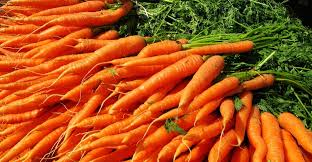 Image result for wortel