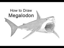 Ocean drawing shark drawing animal sketches animal drawings cute drawings realistic cartoons doodle paint online drawing anatomy drawing. How To Draw A Megalodon Youtube