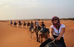 Therefore, camels are the best way to travel. A Night Under The Stars In The Sahara Desert Studentuniverse Travel Blog