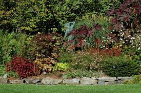 Mark Your Property Lines With Plants Natural Landscaping Landscape Borders Waterwise Landscaping
