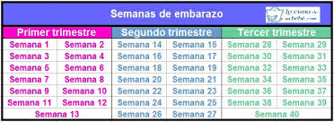 La duración de un embarazo normal en la especie humana es de 10 meses de 4 semanas o bien 9 meses de calendario desde la última regla, más una semana para. Semanas De Embarazo En Meses Y Trimestres