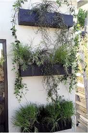 Mur Vegetal Vivant Tableau Vegetal Murs Vegetaux Interieur Kit Mur Vegetal Mur Vegetal Interieur Tableau Vegetal Plantes Sur Les Murs