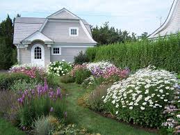 Margeriten Im Garten Mediterrane Gestaltungsideen Cottage Garten Landschaftsdesign Und Garten
