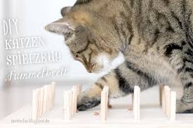 diy katzenspielzeug fummelbrett katzen spielzeug katzenspielzeug katzen