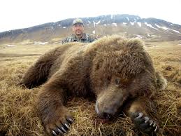 They weigh up to 1,500 pounds. Judging Brown And Grizzly Bears Rokslide