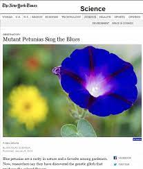 Botanical Accuracy The Wrong Mutants Are Singing The Blues