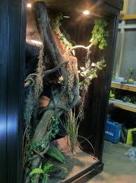 80c6a69ba504a5afe36f5615c70b6048 Jpg 736 985 Reptile Enclosure Reptiles Reptile Terrarium