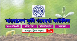 Loker dihandil bakti bjm hari ini / cari jasa lowongan kerja terbaru di barito kuala kab olx co id : Today Jobs Circular News Online In Bangladesh Bd Jobs Careers
