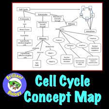 Cell Cycle Concept Map Mitosis Meiosis Cell Cycle Concept Map Meiosis