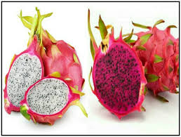 Dragon fruit is an excellent source of fiber, ilic says. Red Dragon Fruit White Dragon Fruit Hylocereus Etsy