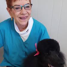 The Feed Barn Grooming