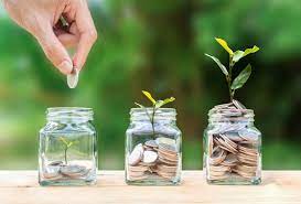 Guide to successful investing in volatile markets - Catapult Wealth