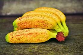 Seperti dibuat keripik atau juga dibuat jajanan pisang goreng atau pisang crispy. 6 Jenis Pisang Terenak Di Indonesia Ada Pisang Mas Hingga Pisang Raja Halaman All Tribun Travel