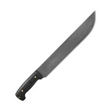 Bilderesultat for Machete