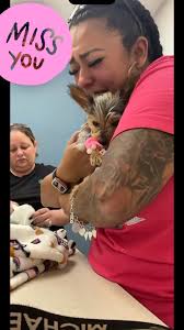 I had to say goodbye to my sweet baby Armani