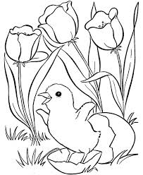 Planse De Colorat Primavara De Colorat P11 Desene De Colorat Primavara De Colorat P11