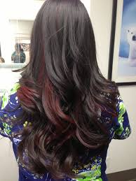 Black And Brown Highlights Curly Hair Pin By Jynette Sandoval On Hair Hair Hair Streaks Hair Color Underneath