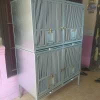 Kami akan mempenalkan kandang merpatilo,,supaya ternak merpatinya sukses,, tonton videonya sampai habis yah jangan. Jual Kandang Macan Murah Harga Terbaru 2021